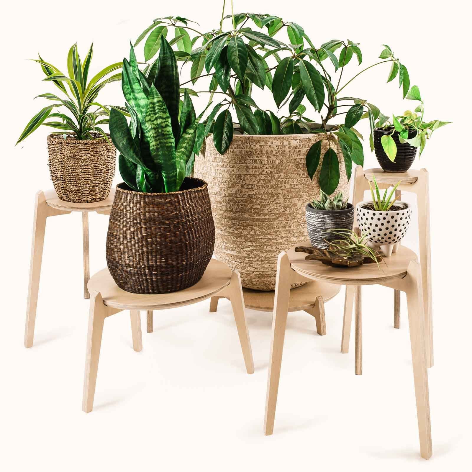 Japandi Plant Stands 