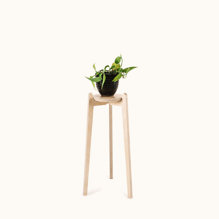 Japandi 170mm Plant Stand 