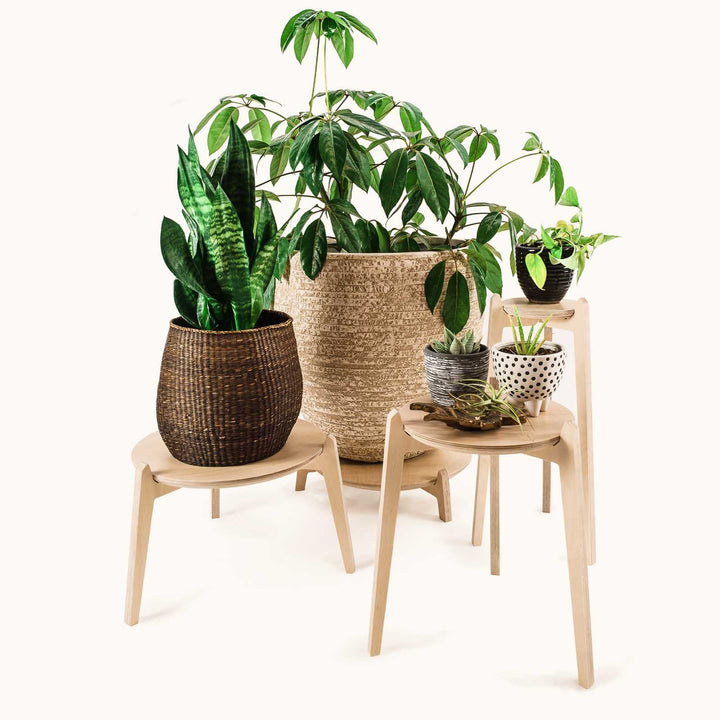 Japandi 170mm Plant Stand 