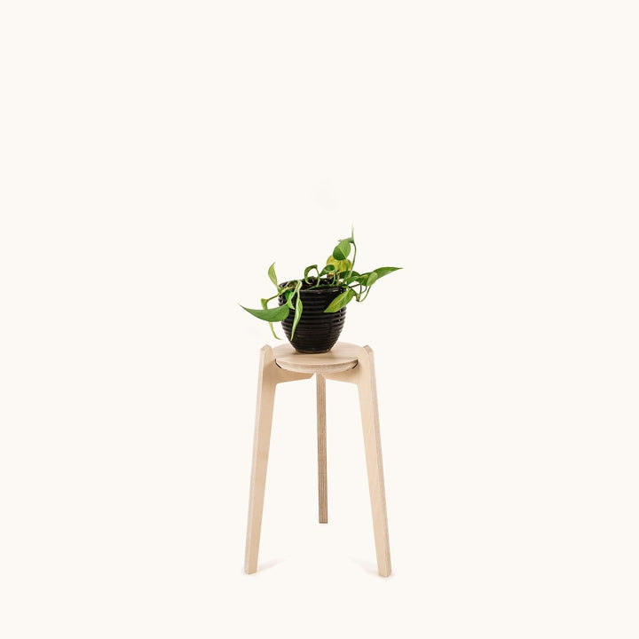 Japandi 170mm Plant Stand 