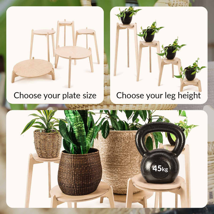 Japandi 220mm Plant Stand 