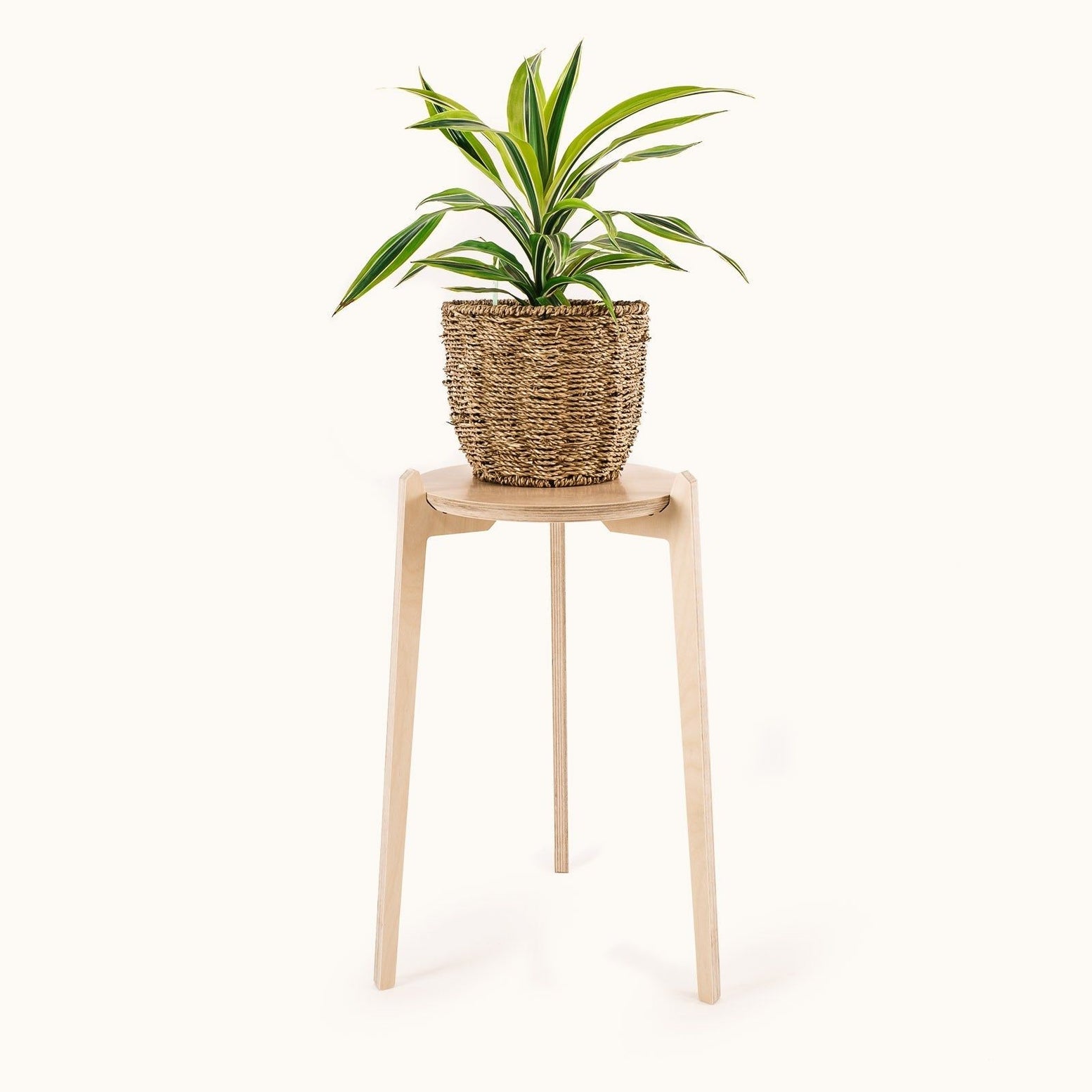 Japandi 280mm Plant Stand 