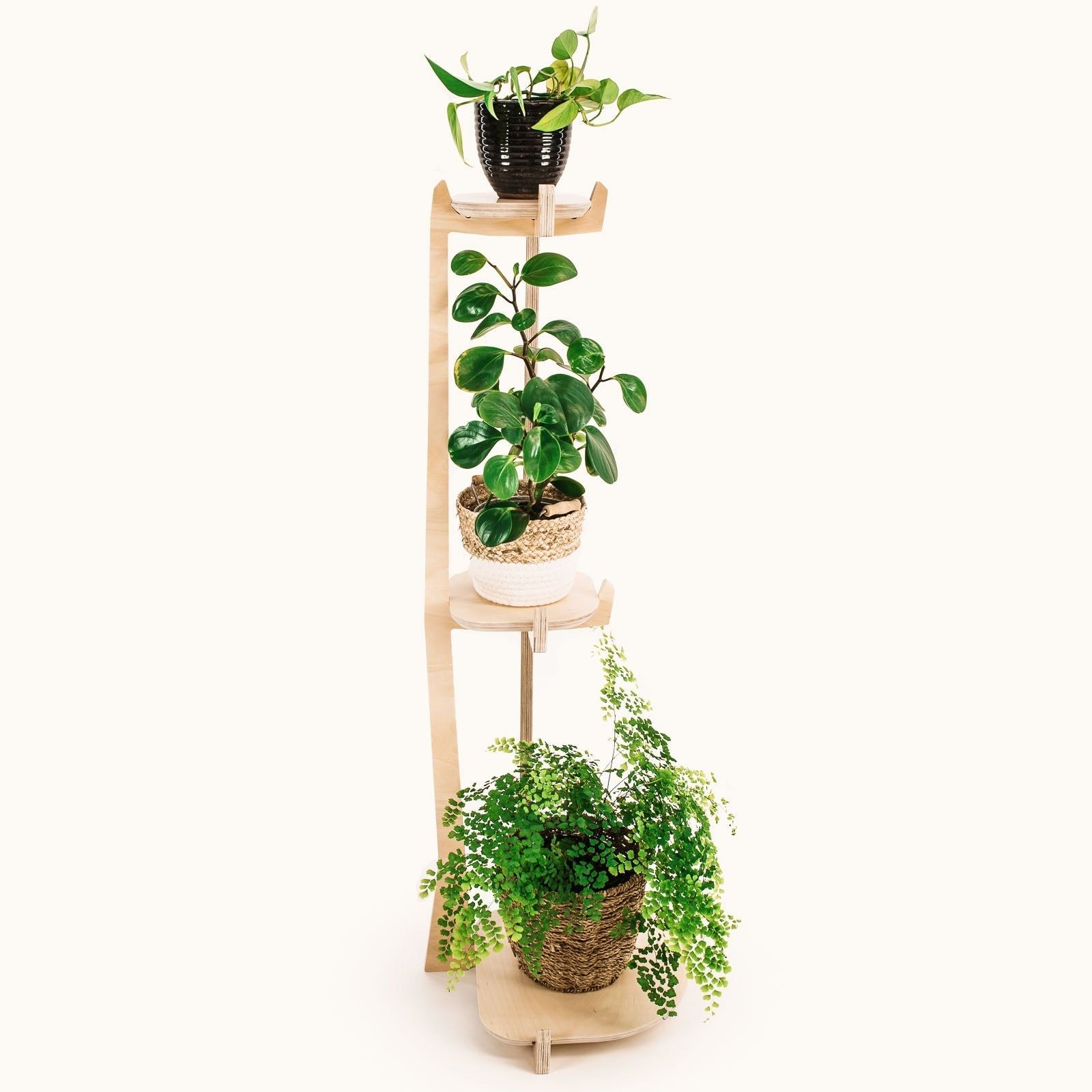 Japandi Corner Plant Stand 