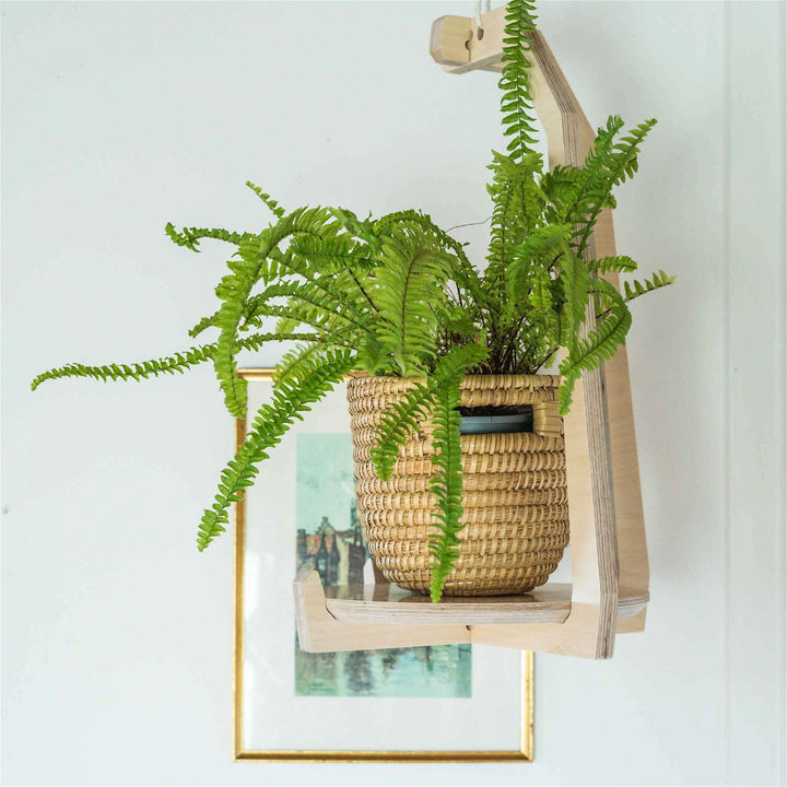 Japandi Hanging Plant Stand 