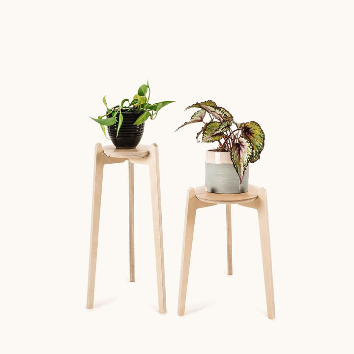 Japandi Plant Stand 2 pack - Small 