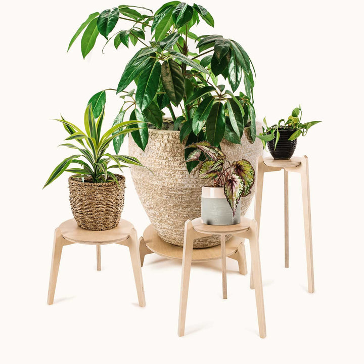 Japandi Plant Stand 4 pack 