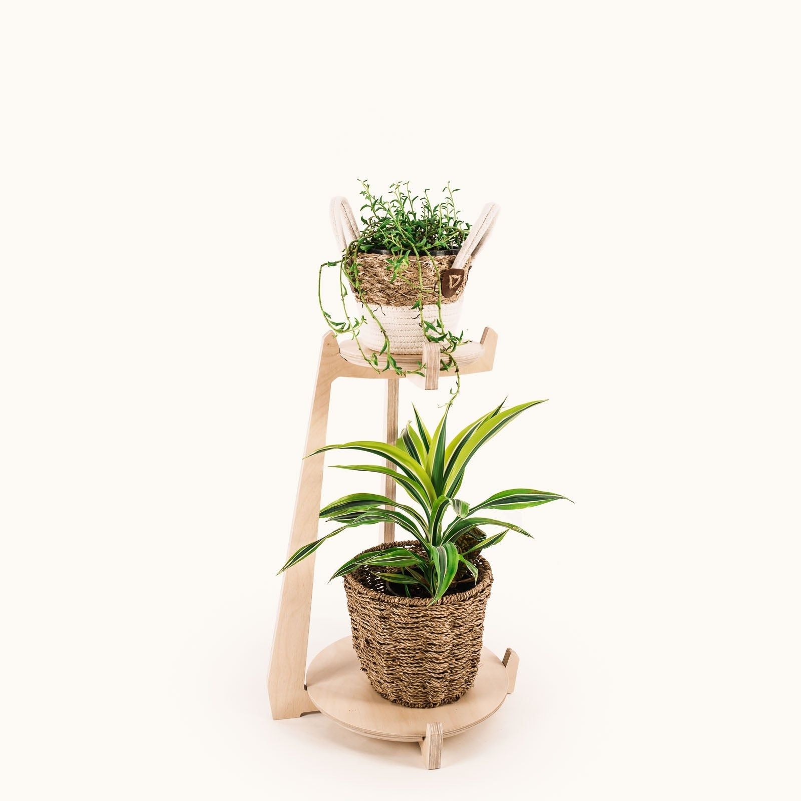 Japandi Tiered Plant Stand 